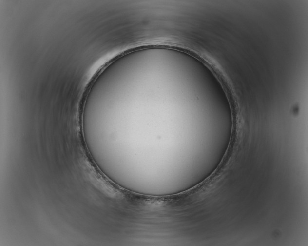 X0000116641230200912291548