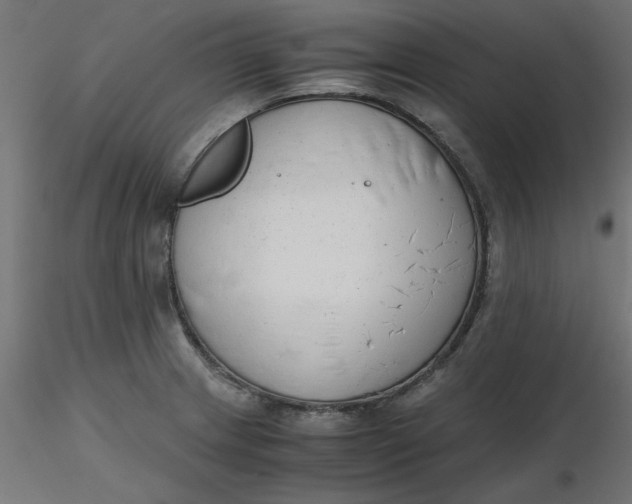 X0000116641233200912291548