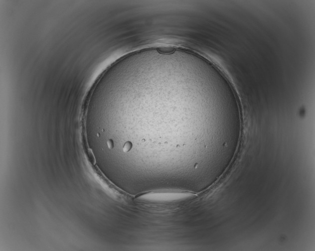 X0000116641235200912291548