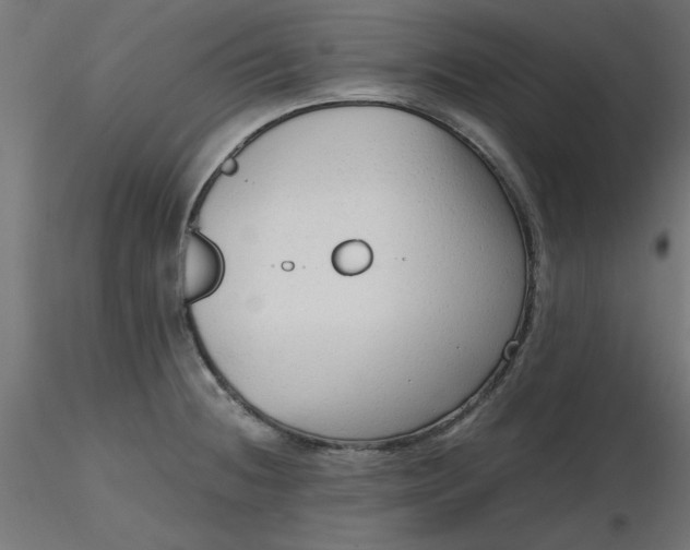 X0000116641236200912291548