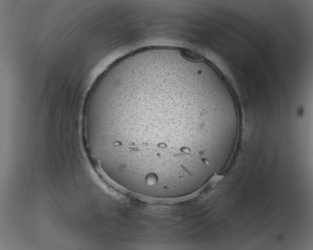 X0000116641237200912291548