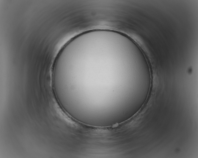 X0000116641238200912291548