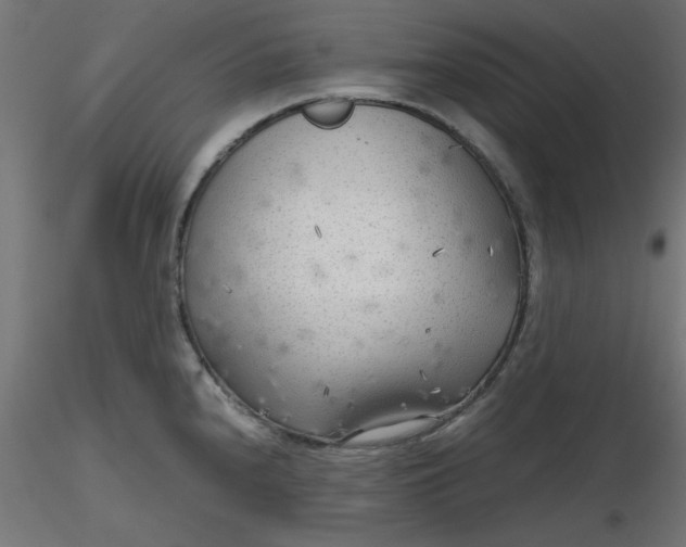 X0000116641240200912291548