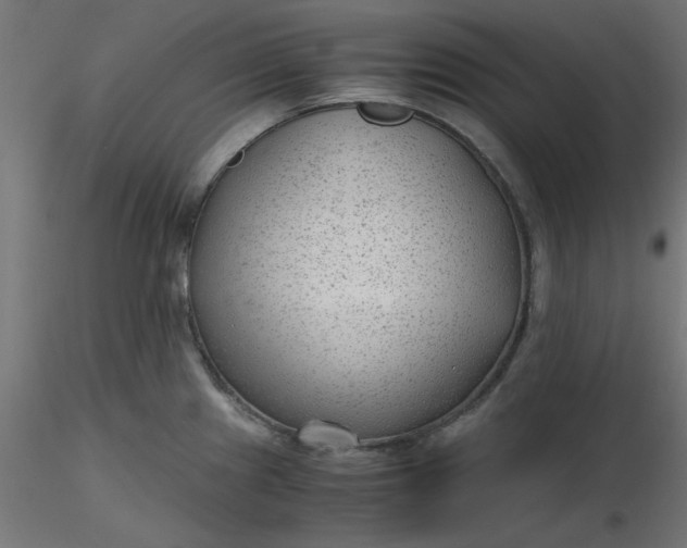 X0000116641241200912291548