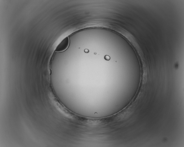 X0000116641242200912291548