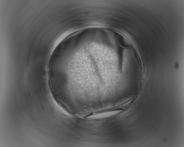 X0000116641243200912291548