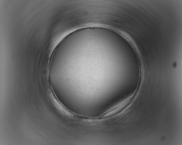 X0000116641244200912291548