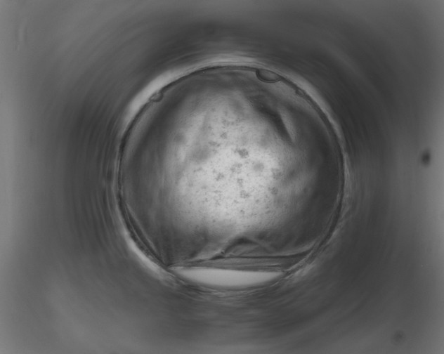 X0000116641245200912291548