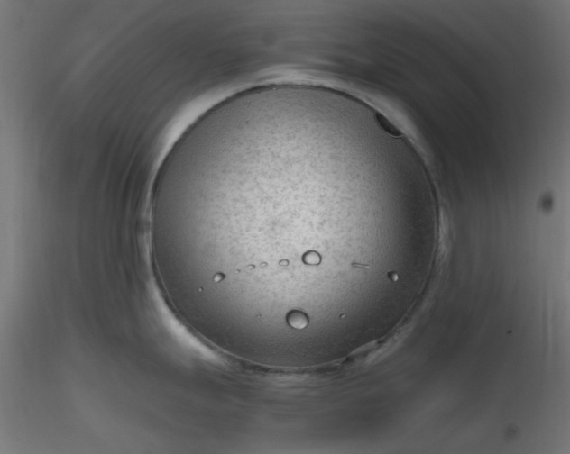 X0000116641247200912291549