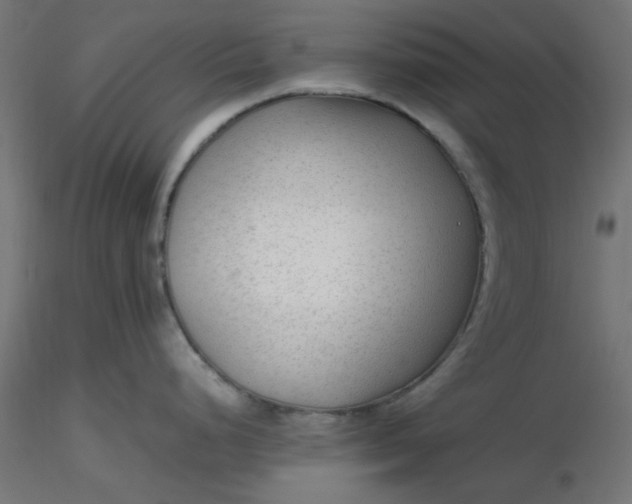 X0000116641248200912291549