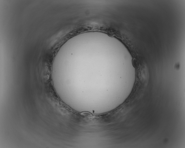 X0000116641253200912291548