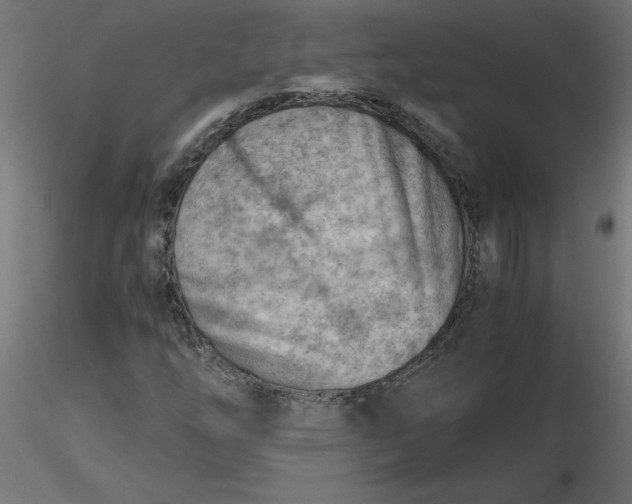 X0000116641254200912291548