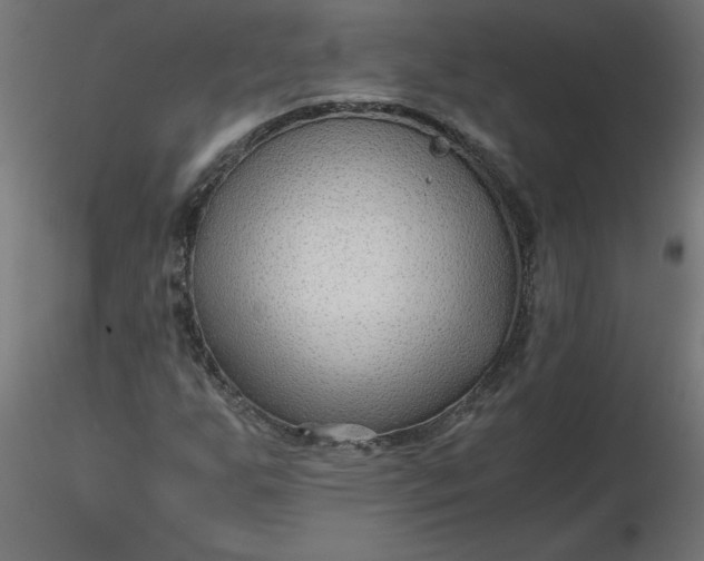 X0000116641255200912291548