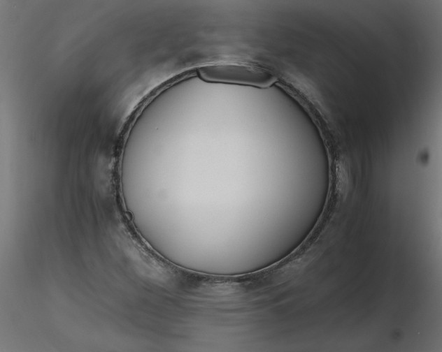 X0000116641260200912291548