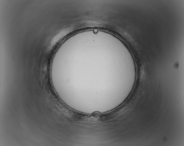 X0000116641261200912291548