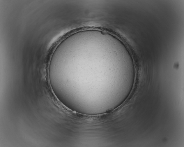 X0000116641262200912291548