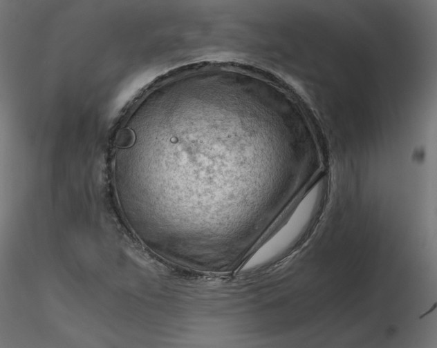 X0000116641263200912291548