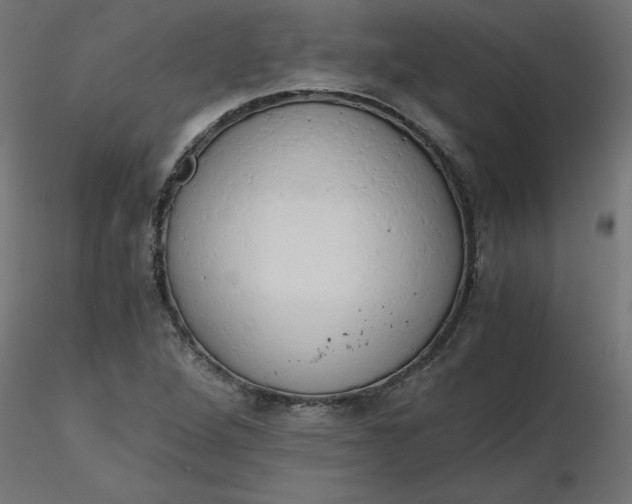 X0000116641264200912291548