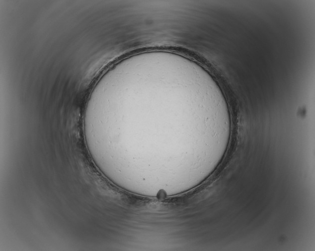 X0000116641265200912291548