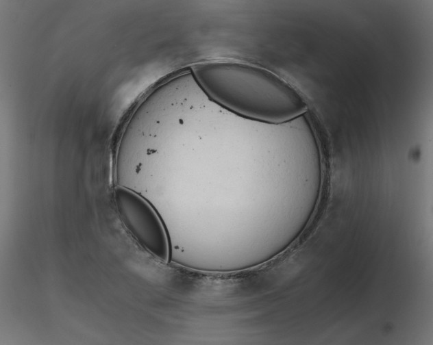 X0000116641269200912291548