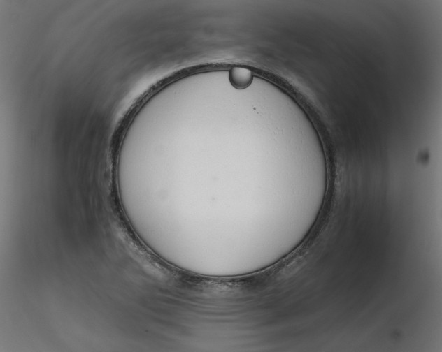 X0000116641270200912291548