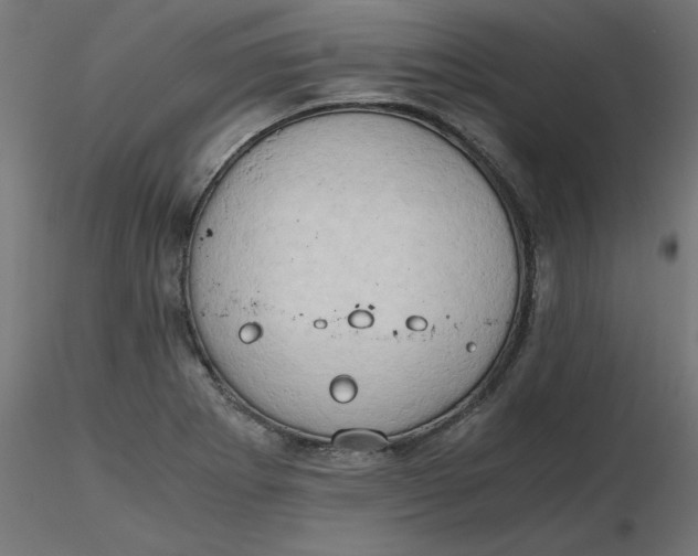 X0000116641273200912291548