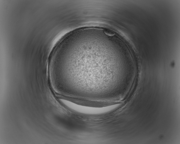 X0000116641275200912291548