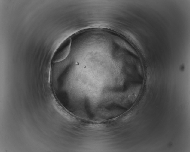 X0000116641276200912291548