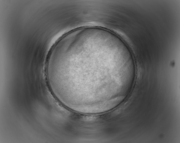 X0000116641278200912291547