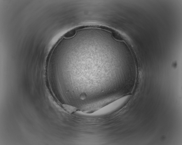 X0000116641279200912291547