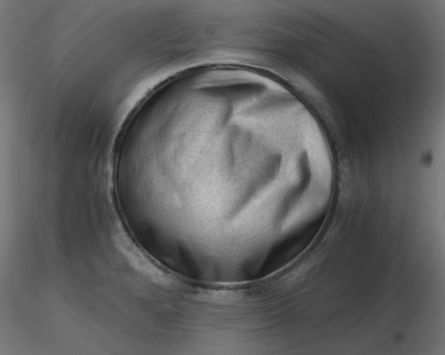 X0000116641280200912291547