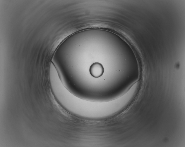 X0000116641281200912291547