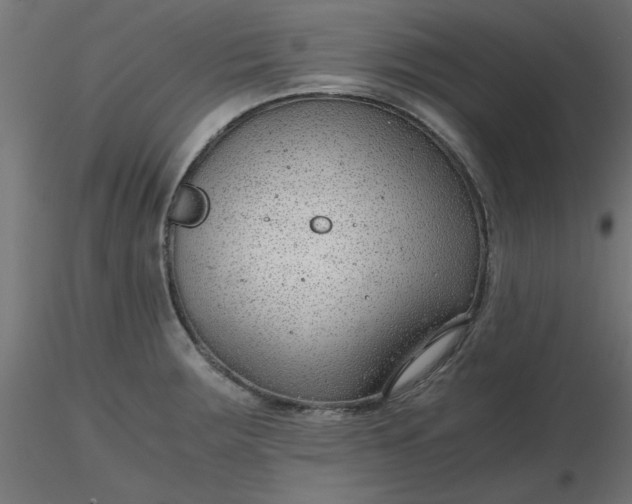 X0000116641283200912291547