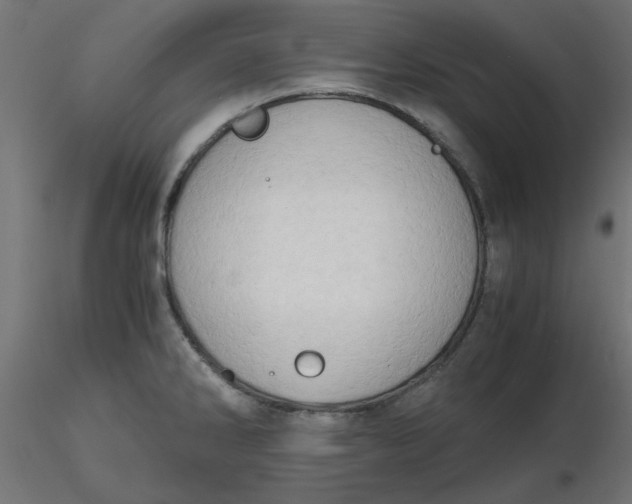 X0000116641286200912291547