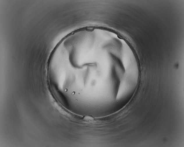 X0000116641287200912291547