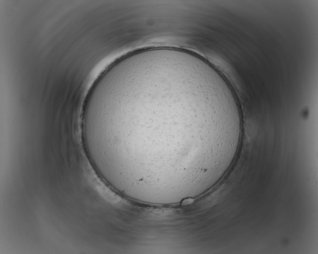 X0000116641288200912291547