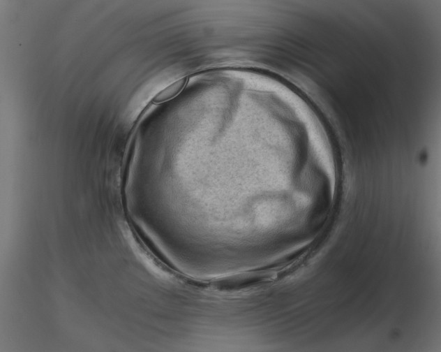 X0000116641289200912291547