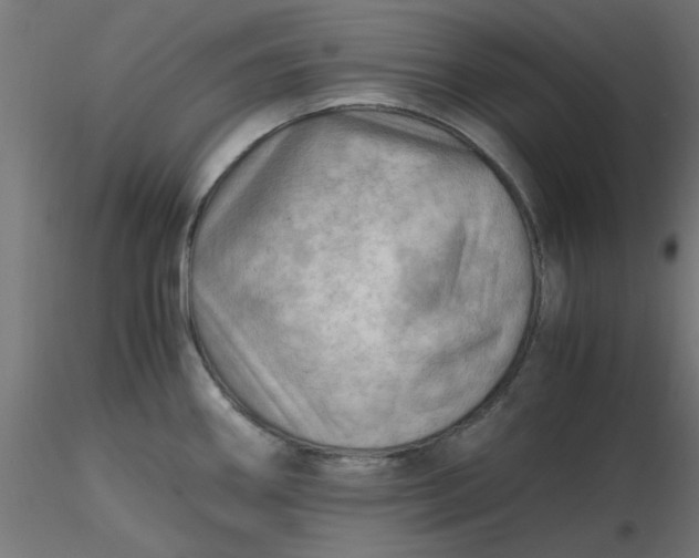 X0000116641290200912291547