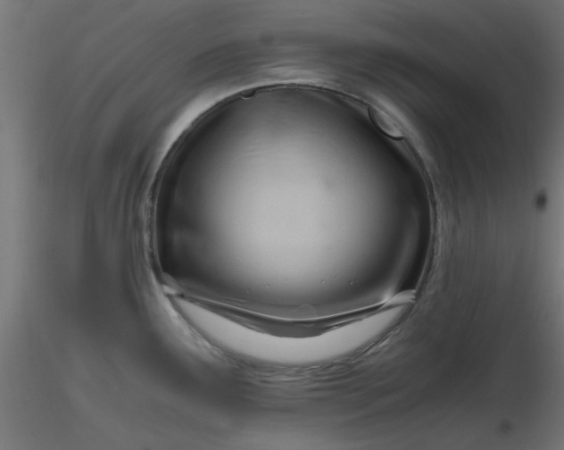 X0000116641291200912291547