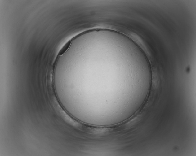 X0000116641292200912291547