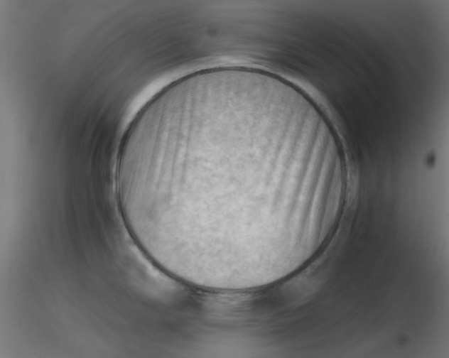 X0000116641294200912291547