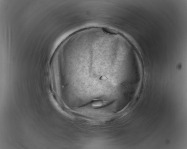 X0000116641295200912291547