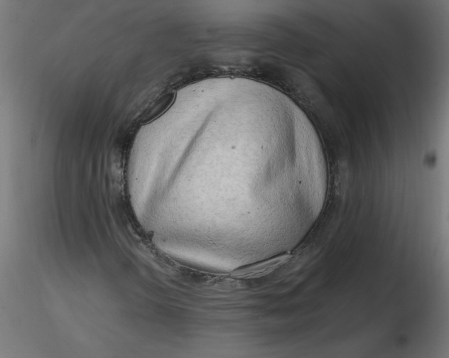 X0000116641298200912291547