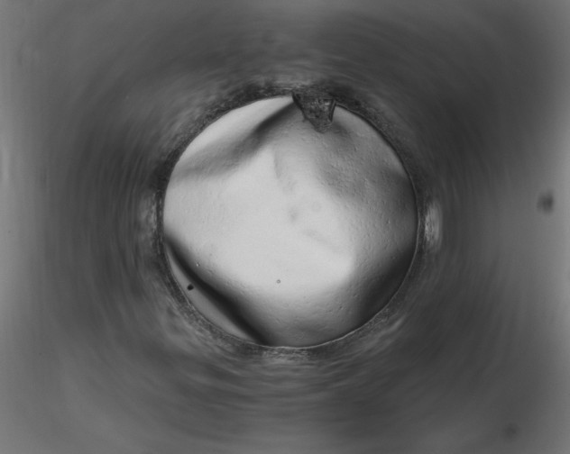 X0000116641299200912291547