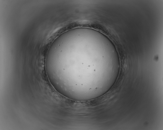 X0000116641301200912291547