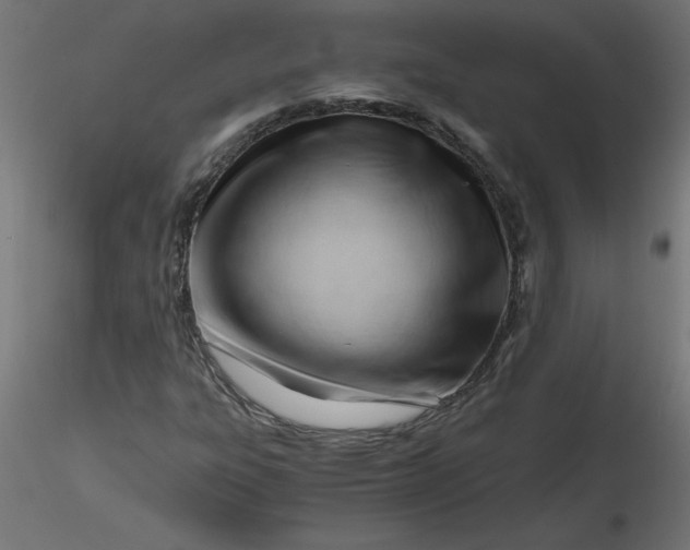 X0000116641303200912291547