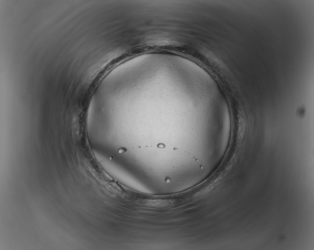 X0000116641305200912291547