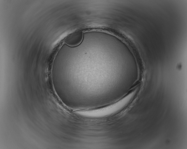 X0000116641306200912291547