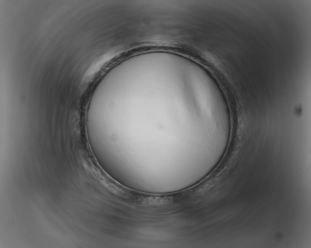 X0000116641307200912291547