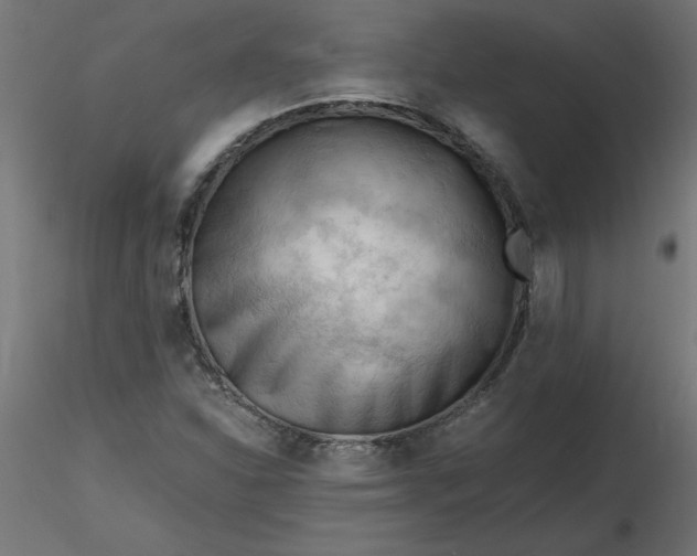 X0000116641310200912291547